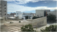 ��������˹����ѧѧԺISCTE-IUL���